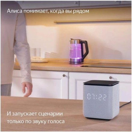 Умная колонка Яндекс Станция Миди (малиновый)