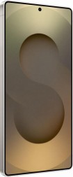 Samsung Galaxy S25 Ultra 12/256GB серый титан