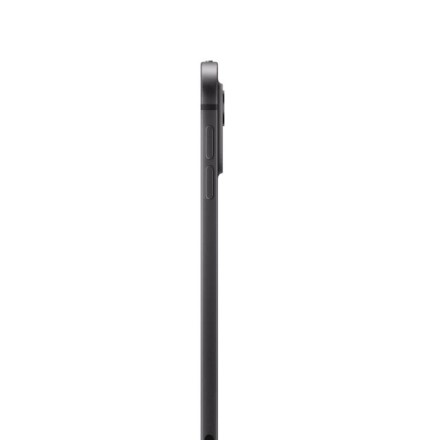 Планшет Apple iPad Pro 13" 2Tb (2024) Wi-Fi + Cellular нанотекстурное стекло «черный космос»